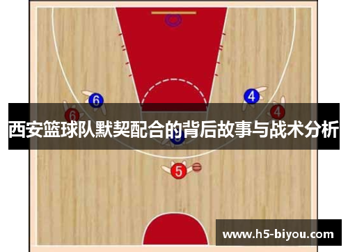 西安篮球队默契配合的背后故事与战术分析