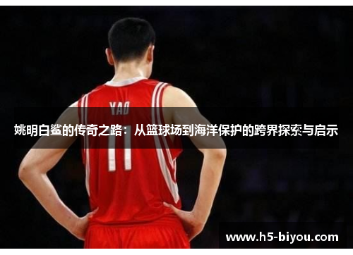 姚明白鲨的传奇之路：从篮球场到海洋保护的跨界探索与启示
